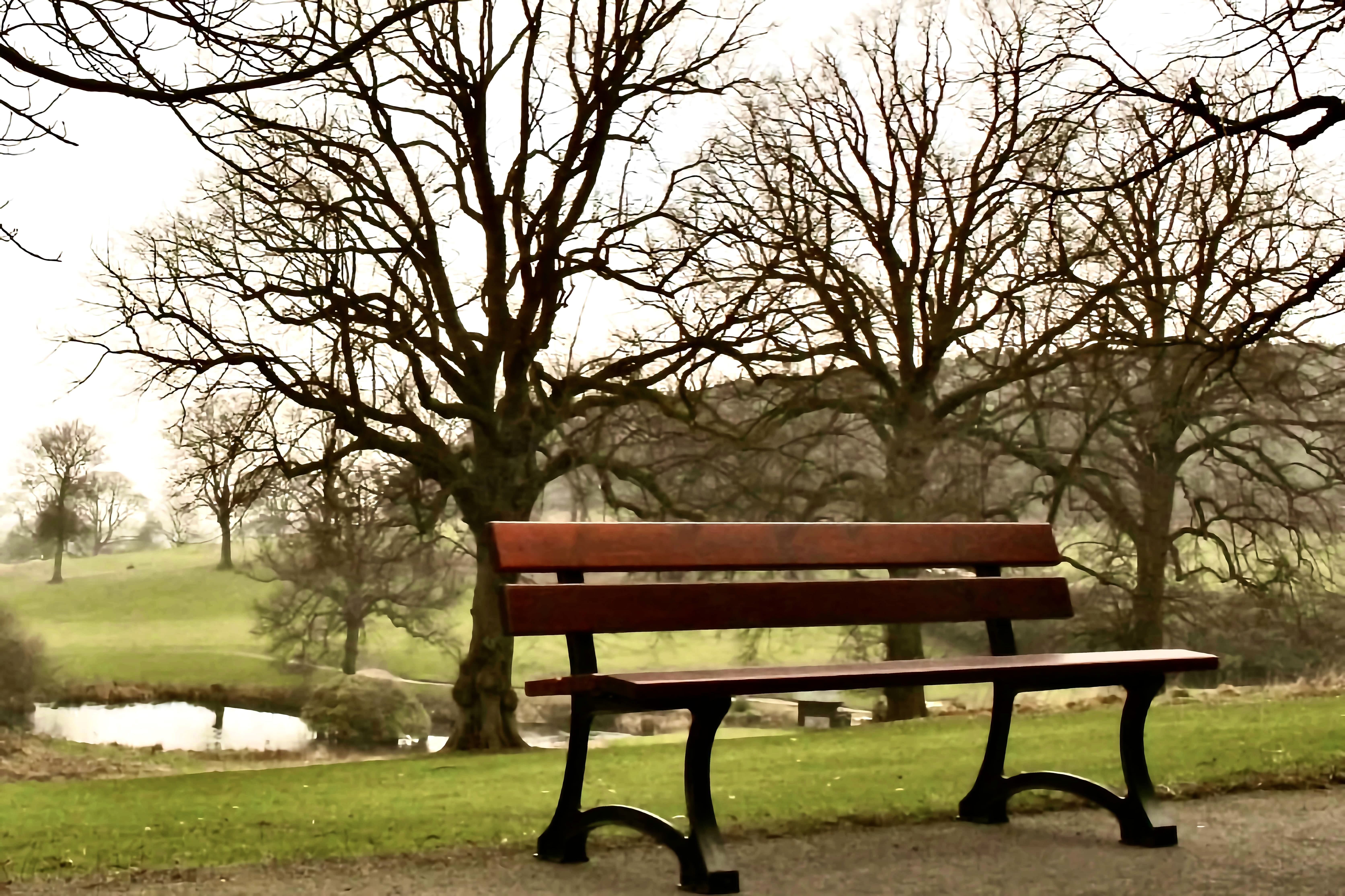 The Bardot Seat is Manufactured from Cast Iron supports and supplied with Iroko Wood 