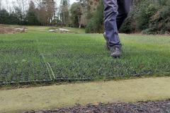 Grass Matting Erosion ControlPlus Safety Steep Slope TractionRubber Resilient & Easy InstallFor Construction & Walkways