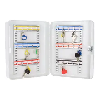 Key Safes & Ladder Sentrys